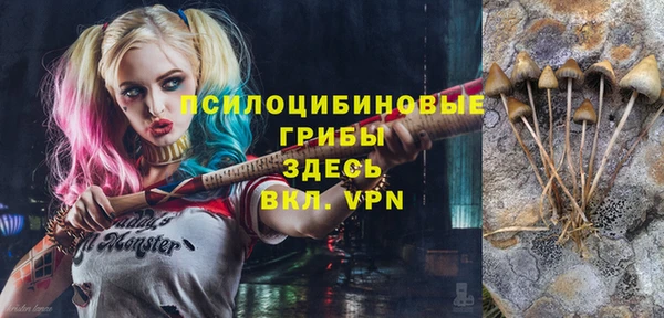 героин Белокуриха