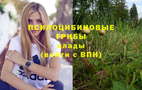 мдпв Белоозёрский