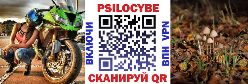 Псилоцибиновые грибы Cubensis  Светлый 